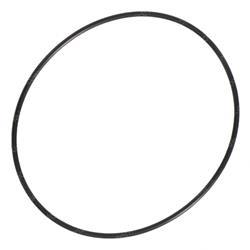 Picture of O-Ring