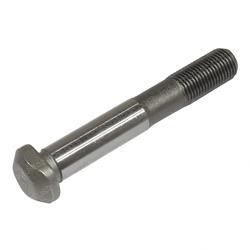 Picture of Bolt
