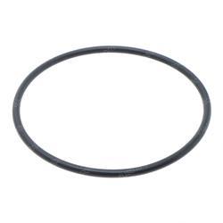 Picture of O-Ring