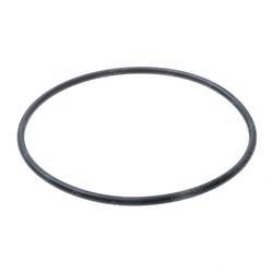 Picture of O-Ring