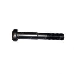 Picture of Bolt
