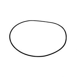 Picture of O-Ring
