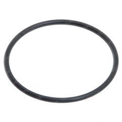 Picture of O-Ring