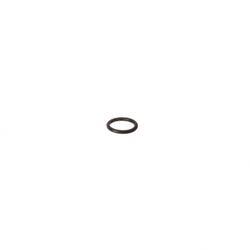 Picture of O-Ring