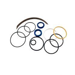 Picture of Seal Kit-Tilt Cylinder-Dlb Lip