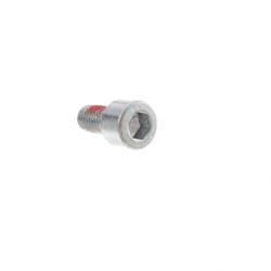 Picture of Bolt - Socket - Threadlocker