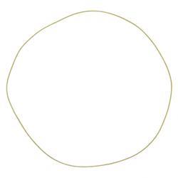 Picture of O-Ring