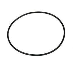 Picture of O-Ring