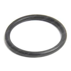 Picture of O-Ring