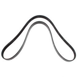 Picture of Belt - Serpentine