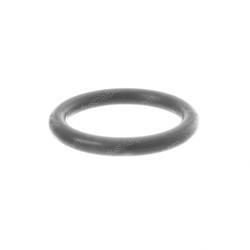 Picture of O-Ring