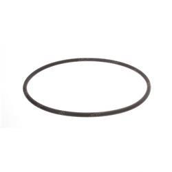 Picture of O-Ring