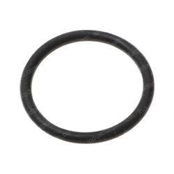 Picture of O-Ring