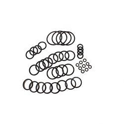 Picture of Seal Kit - Valve