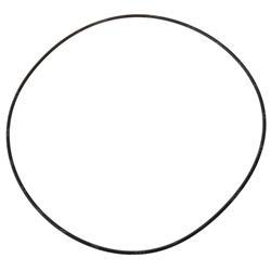 Picture of O-Ring