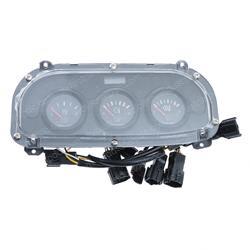 Picture of Instrument Assy-G15/25s-5 Df