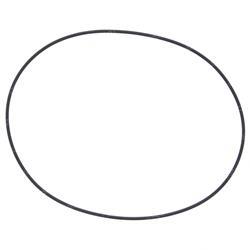 Picture of O-Ring