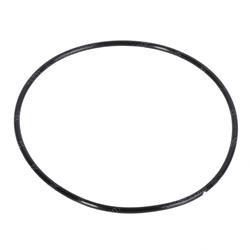 Picture of O-Ring