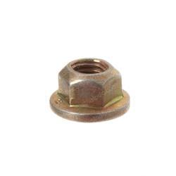 Picture of Nut