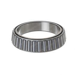 Picture of Cone-Bearing