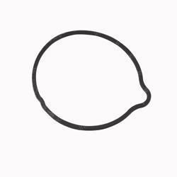 Picture of Seal