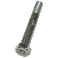 Picture of Bolt