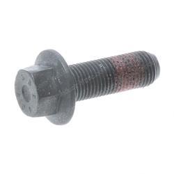 Picture of Bolt - Flange - Threadlocker