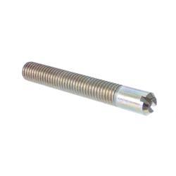 Picture of Bolt