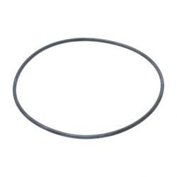 Picture of O-Ring