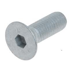 Picture of Screw