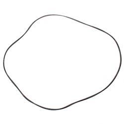 Picture of O-Ring