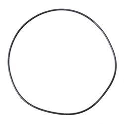 Picture of O-Ring