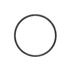 Picture of O-Ring