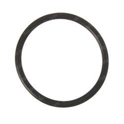 Picture of O-Ring