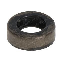 Picture of Seal - Oil