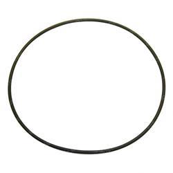 Picture of O-Ring