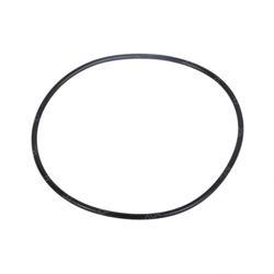 Picture of O-Ring