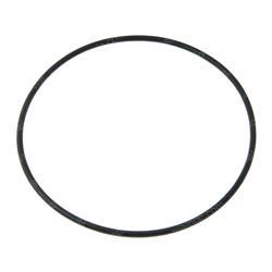 Picture of O-Ring