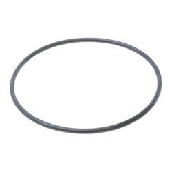 Picture of O-Ring