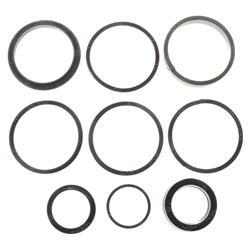 Picture of Seal Kit - Cyl Assy 2 in Steer