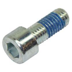 Picture of Screw-Cheesehead