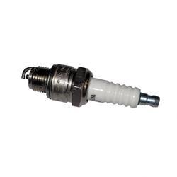 Picture of Plug - Spark