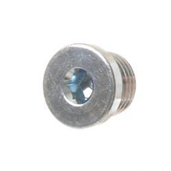 Picture of Plug - Hollow He