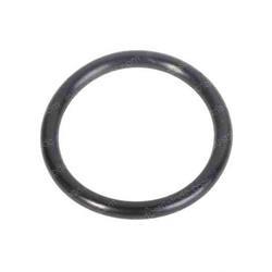 Picture of O-Ring