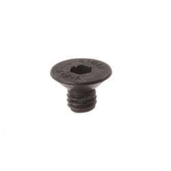 Picture of Screw