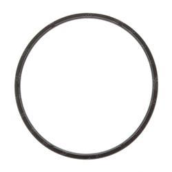 Picture of Seal