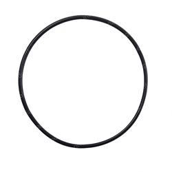 Picture of O-Ring