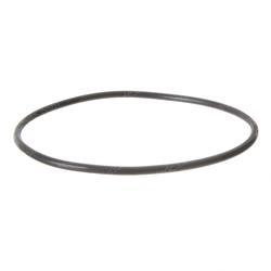Picture of O-Ring