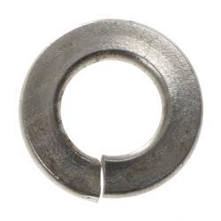 Picture of Washer-Lk-Ss-.255/.263