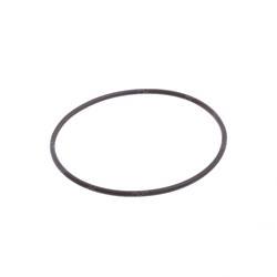 Picture of O-Ring